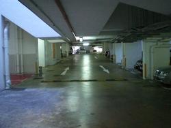 Holland Peak (D10), Condominium #85483092